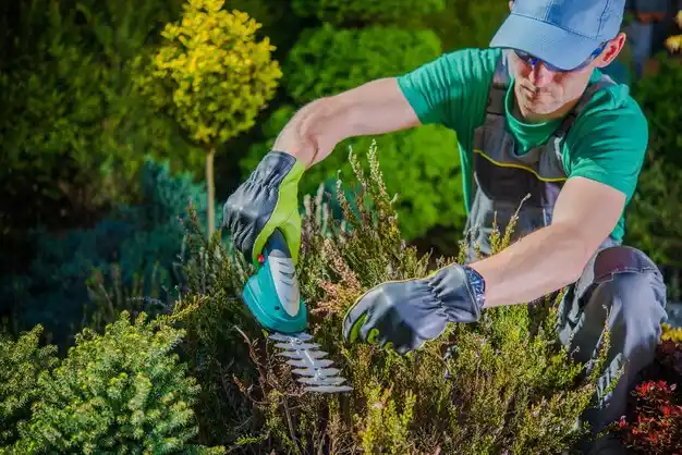 landscaping services Troy